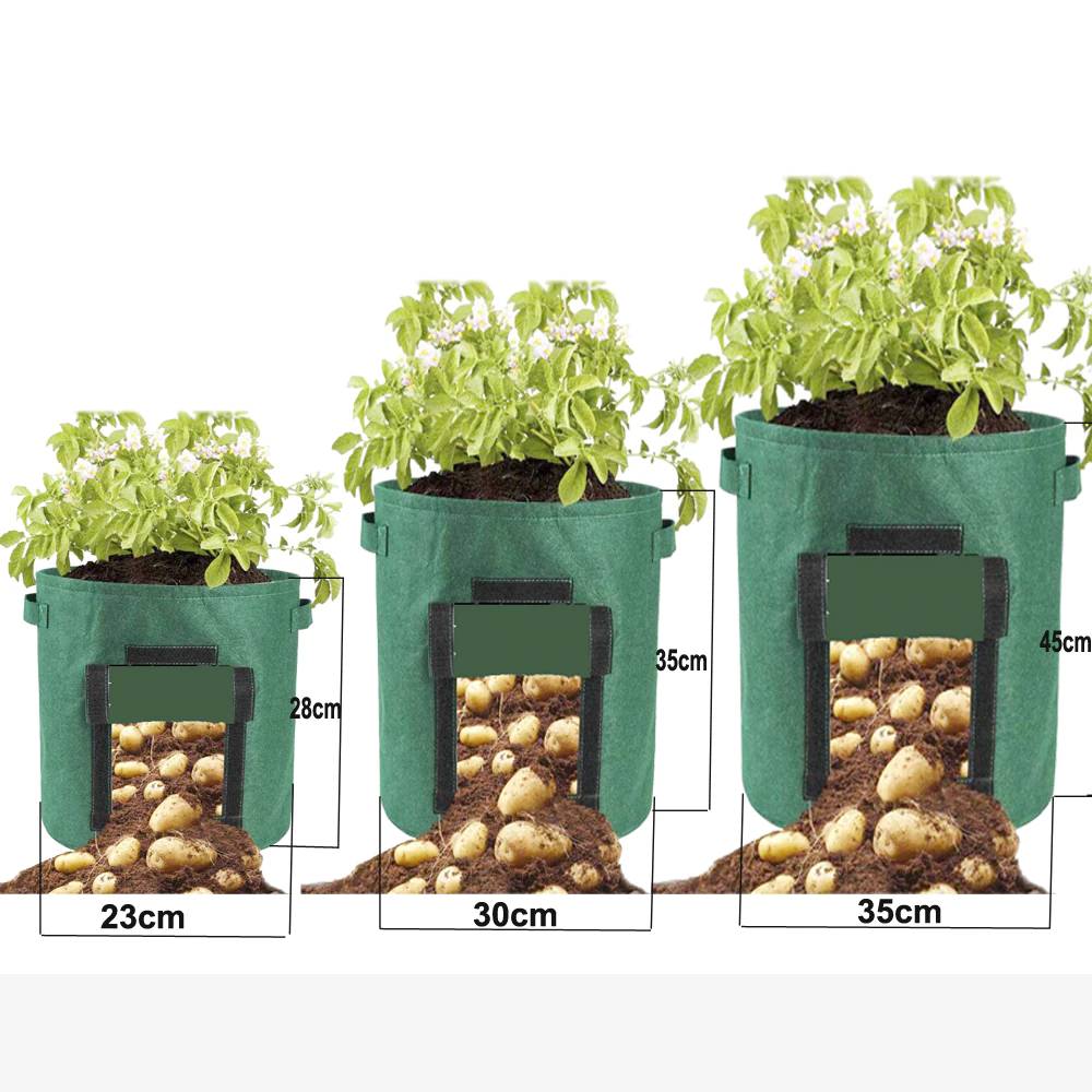 Breathable Plant Growth Bag Garden Essentials Home & Garden cb5feb1b7314637725a2e7: Black 23Dx28H(5gal)|Black 30Dx35H(7gal)|Black 35Dx45H(10gal)|Green 23Dx28H(5gal)|Green 30Dx35H(7gal)|Green 35Dx45H(10gal)|Yellow 23Dx28H(5gal)|Yellow 30Dx35H(7gal)|Yellow35Dx45H(10gal)