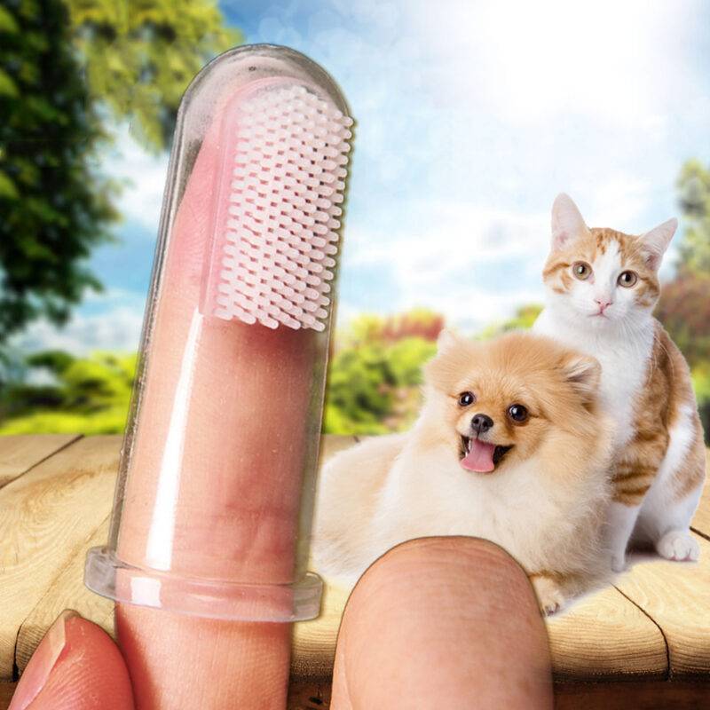 Soft Finger Toothbrush for Pets Care Pet Products 1ef722433d607dd9d2b8b7: Outside US