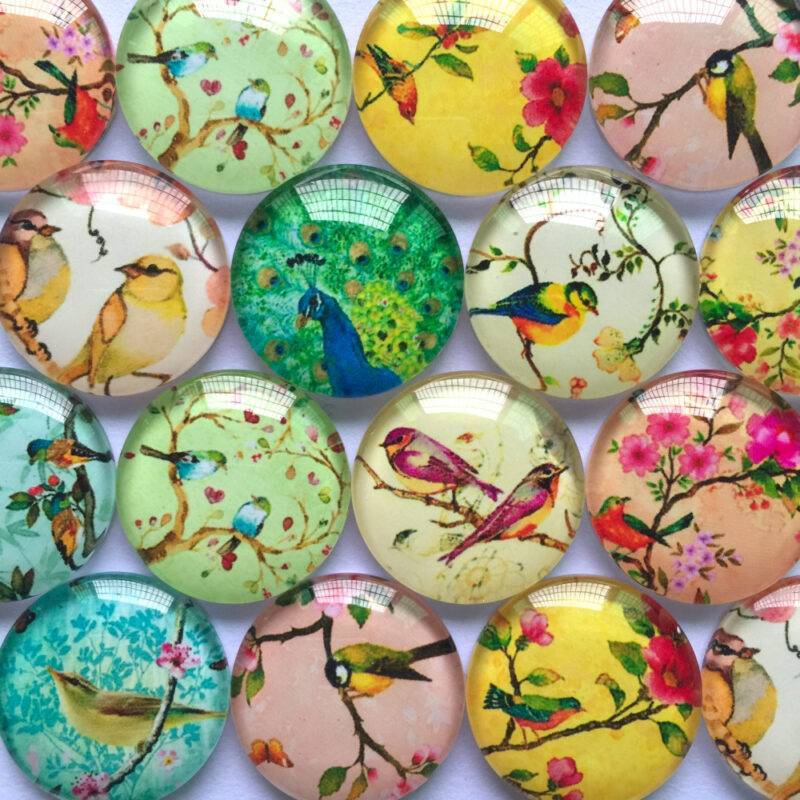 Bird Pattern Glass Cabochon Set Beads & Jewelry Making Handicrafts 6f6cb72d544962fa333e2e: 10 mm 50pcs|12 mm 50pcs|18 mm 20pcs|20 mm 20pcs|25 mm 20pcs|30 mm 10pcs|35 mm 5pcs|40 mm 5pcs