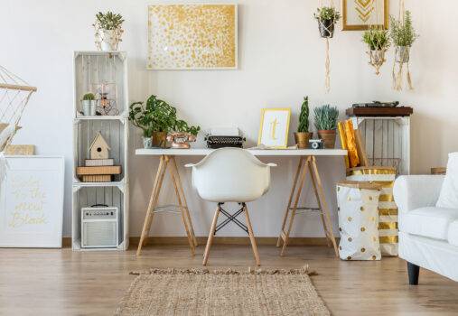 Rich choice and tempting deals